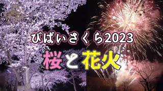 【美唄の】びばいさくら2023【桜と花火】