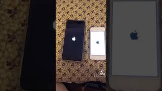 iPhone 6s Plus vs iPod touch 7th gen Boot Up Test