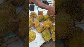 KAKA INI JUAL DURIAN LUCU APA, RAMAH LAGI #seruipapua #papuaindonesia