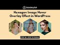 How to Create Hexzagon Image Hover Overlay Effect in WordPress | WordPress design Tips and Tricks