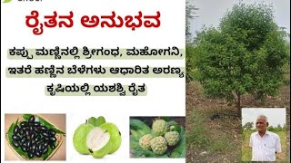 Sandalwood Results in Bijapur by Darvi Group, Best sandalwood plot design in Karnataka.