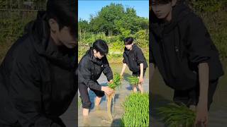 Funny😝 Korean boy in farm 🚜🐾🌻🌾🌞 #shortsviral #korea #funkpops #shortvideos #shorts #fyp #funny