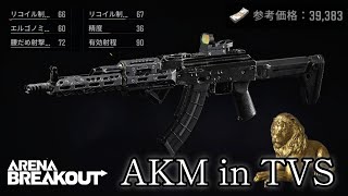 【AKM in TVS】相変わらずアリブレに運を吸われている魔理沙【ArenaBreakout / アリブレゆっくり実況】