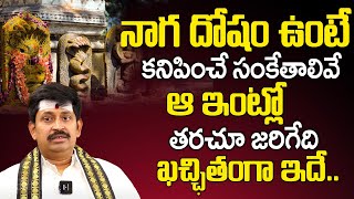 నాగ దోషం ఎందుకు వస్తుంది..? |  Naga Dosham Pariharam | Panguluri Venkateswara Sharma | Plus Tv