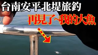 牠是什麼魚?台南安平北堤旅釣-城市獵漁人BOBO#台南福爾摩沙遊艇酒店