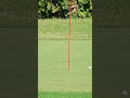 3승 그냥한거 아니다. 배소현 프로. 숏 게임 감각. 골프 golf 구독은 좋아요