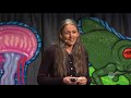 Monica Gagliano - Plant Intelligence and the Importance of Imagination In Science | Bioneers