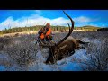 Bull Elk Down | Monster Colorado Public Land Bull of a Lifetime | Rifle Season 2021