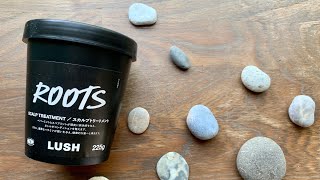 夏の頭皮・ヘアケア〜LUSHでROOTS（現実頭皮）を買ってレビューしてみた