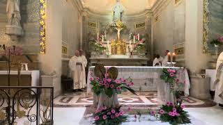 SANTA MISA. DESDE NUESTRA SEÑORA DE LA MEDALLA MILAGROSA. Fray Alejandro Tobón, OCD. Nov. 28/2024.