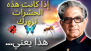 97% لا يلاحظون هذه العلامات! المعنى الروحي للحشرات في منزلك!