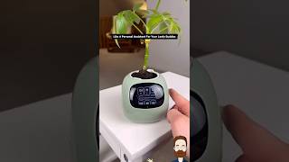 Smart Planter Pot Transforms How You Grow Plants 🌱✨ #shorts