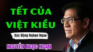 Nguyễn Ngọc Ngạn - TẾT CỦA VIỆT KIỀU | Đọc Truyện Đêm Khuya