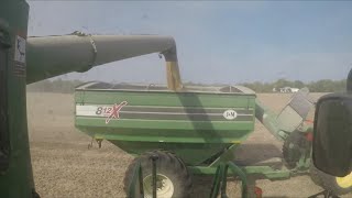 Proposed tariffs on Mexico and Canada could impact soybean farmers