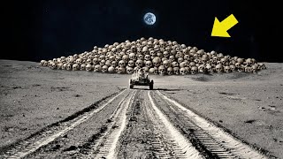 Moon Shock Bones Found On The Surface Scientists Are Speechless