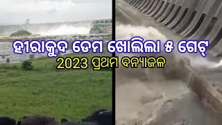 Hirakud dam get open // ହୀରାକୁଦ ଡେମ୍ ରୁ ୫ଗେଟ୍ ଖୋଲିଲା