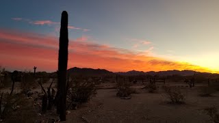 Scenes from Quartzsite