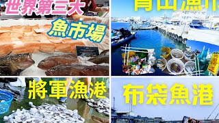 [漁港買魚] 澳洲海鮮VS.台灣海鮮  哪個市場好買呢?