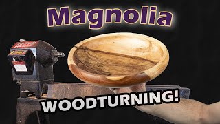 Woodturning punky spalted magnolia wood.