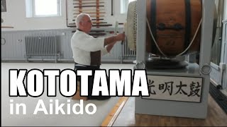 Kototama in Aikido, Terry Ezra Shihan