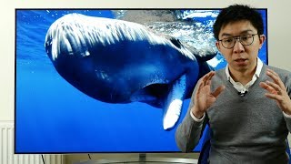 How to Watch Blue Planet 2 in 4K HLG HDR + Comparison vs SDR