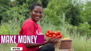 Honest Ideas To Start A Profitable Farm In Ghana 🇬🇭 With Small Capital | Become A Millionaire Soon.