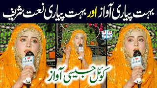Sajida Muneer Naats || is shane karam ka kya kehna || Naat Sharif || female voice || i Love islam