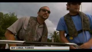 Crocodiles and the Everglades