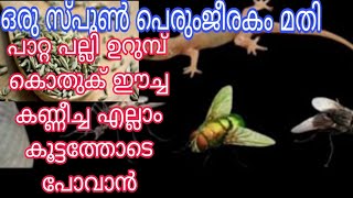 ഒരു സ്പൂൺ പെരുംജീരകം മതി പാറ്റ പല്ലി ഉറുമ്പ് കൊതുക് ഈച്ച കണ്ണീച്ച എല്ലാം കൂട്ടത്തോടെപോവാൻ#kitchentip