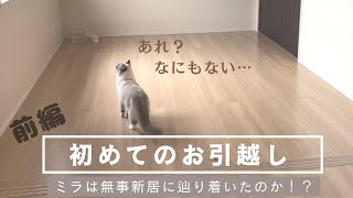 【前編】愛猫と一緒に初めてのお引越しをしました★