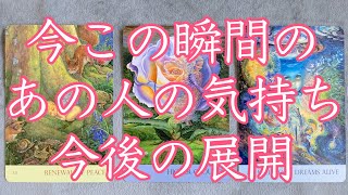 【恋愛】今この瞬間のあの人の気持ち　今後の展開🦋今この瞬間リーディング［タロットオラクルルノルマンカードリーディング］