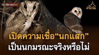 เปิดความเชื่อ นกแสกบินวน เกาะหลังคาบ้าน คือลางร้ายจริงหรือไม่ | เปิดตำนาน