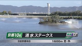 清水ステークス［2023.11.26 京都第10R/1600m 芝］