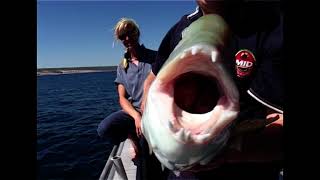 Fishing Kalbarri Duhfish,Balchin,Sambo Fishing WA Series 2 Ep 13 Part1