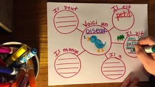 Voici un Oiseau - Complete an anchor chart