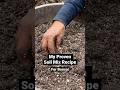 Proven Soil Mix for Bonsai #shorts #bonsai #gardening #howto