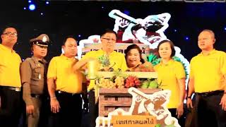 งานเทศกาลผลไม้และของดีจังหวัดระยอง ประจำปี 2562