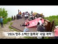 2024 영주 소백산 철쭉제 이번 주말 개막 안동mbc