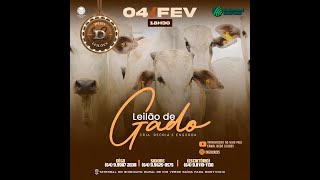 LEILAO DE GADO   04 - 02 - 2025 - Sindicato Rural de Rio Verde - Dêgo Leilões