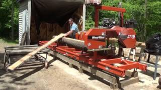 Sawmill cutting 2x4s and 1x4.