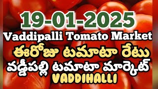 Vaddipalli Tomato Market🍅|ఈరోజుటమాటారేటు|#TodayTomatoRateInVaddipalli|19-01-2025|@ckgowthamvlogs