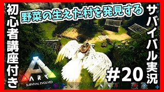 【ARK】ベテランサバイバーが初心者さんと一緒に遊んでいるつもりで１から説明しながら新マップを遊ぶ実況プレイ #20『野菜の生えた村を発見する』【フィヨルド】