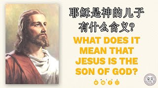 耶稣是神的儿子有什么含义？|| What does it mean that Jesus is the Son of God?