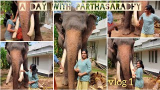 A day with Parthasaradhy | My dream come true 😍❤️🤘 | ആനപ്രേമികൾക്കായി ഇതാ എന്റെ  1st vlog 🤩😍🤘👏