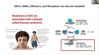 Ras Lecture 2 -- Part 3: Ras Mutations in Human Disease