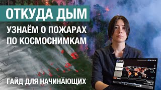 Узнавайте первыми о лесных пожарах по космическим снимкам: гайд по WORLDVIEW для новичков