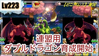 【どこパレ！】実況Lv223 報酬が大きい連盟用にダブルドラゴン育成開始！まずは一体完成を目指す！