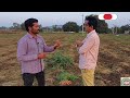 carrot cultivation carrot farming guide indarapu srinivasa rao