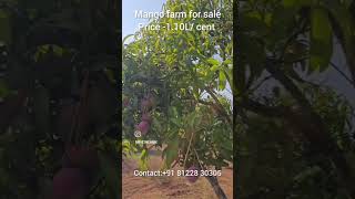 #nature#mangofarm#coimbatorelife#farmland#landforsaleincoimbatore#investment