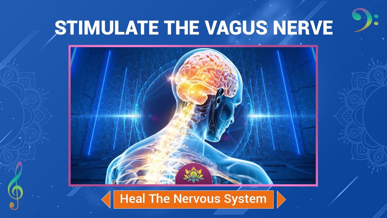 Stimulate The Vagus Nerve Heal The Nervous System Release Stress
